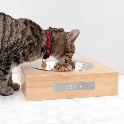 Personalised Bamboo Single Pet Bowl Spesh Gifts