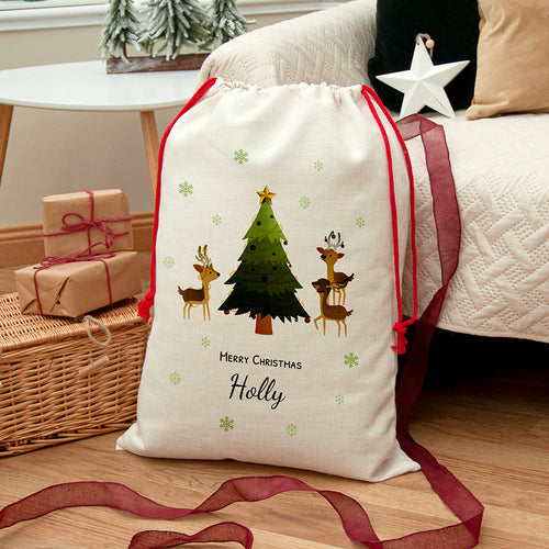 Personalised Christmas Reindeer Family Christmas Sack Spesh Gifts