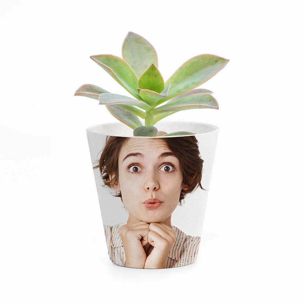 Potted plant with a face printed on the pot against a white background